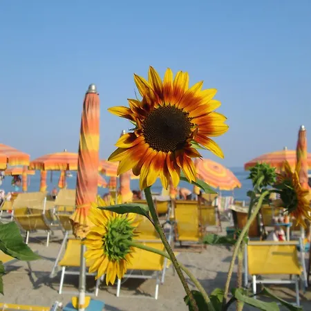 Mare Verde Pietra Ligure
