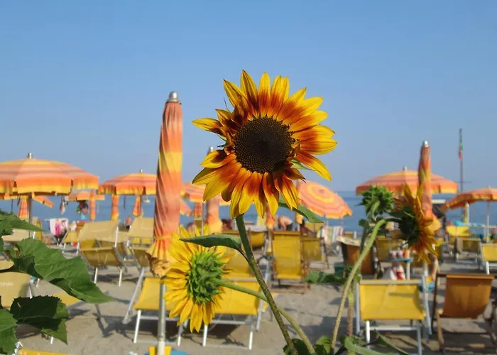 Mare 피에트라리구레